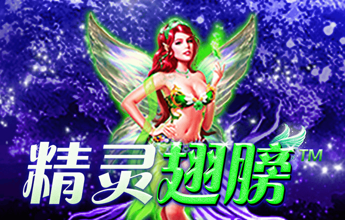 kok官方体育官网